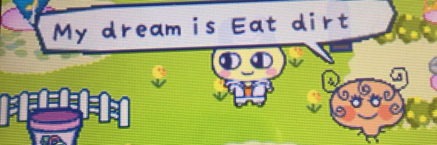 catgrassie's profile banner image
