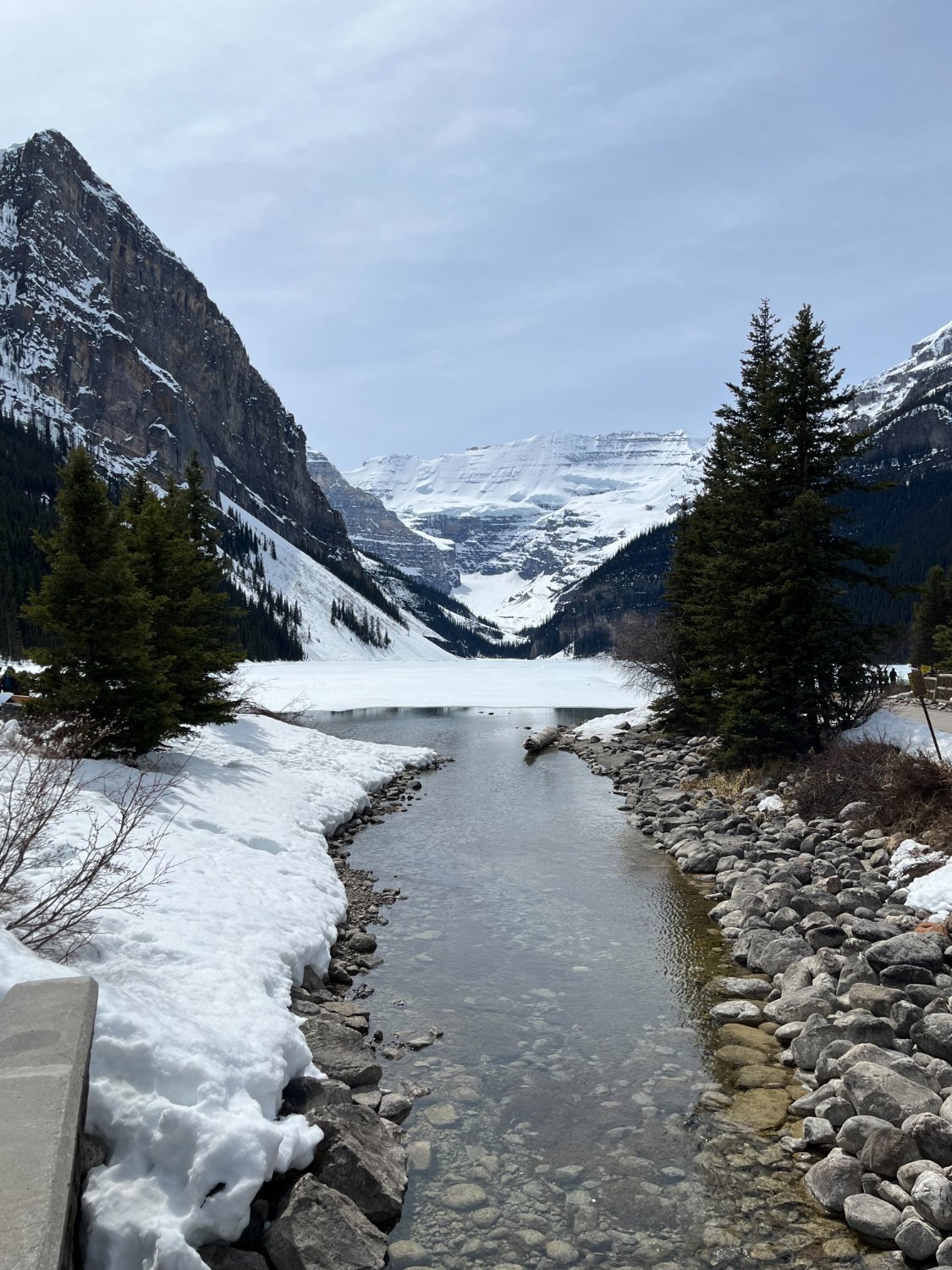 Michael Wardlow banner