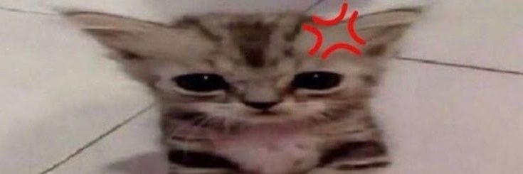 _il0v3M's profile banner image