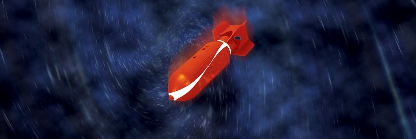 Ty (aka Hamburgers) banner