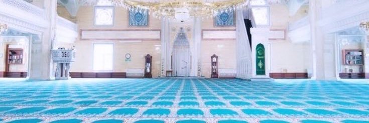 Muslim Shane Hollander banner