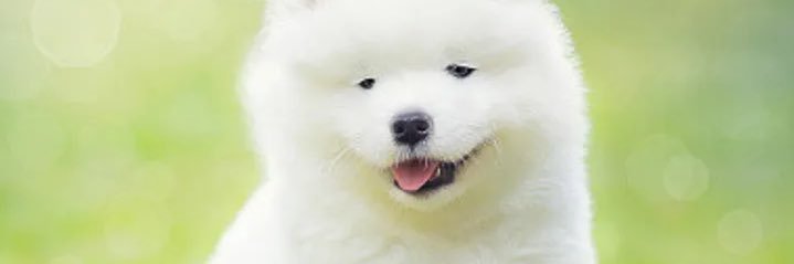 ordana_2's profile banner image