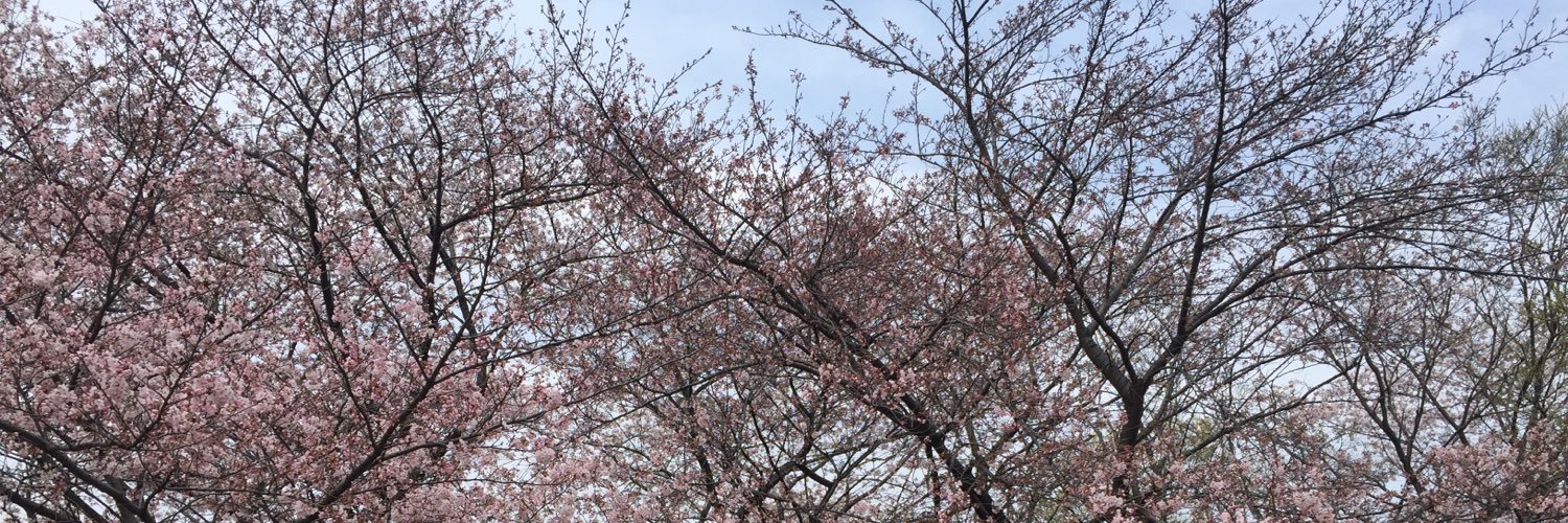 accky_t's profile banner image