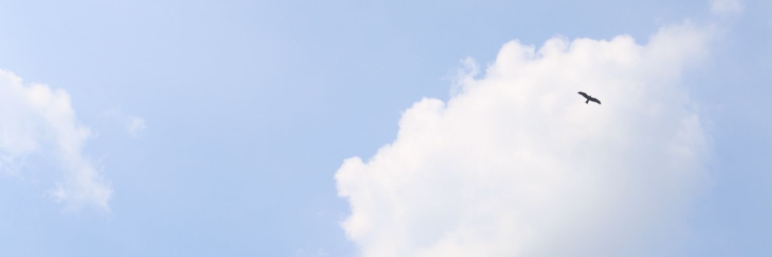 barely_social's profile banner image