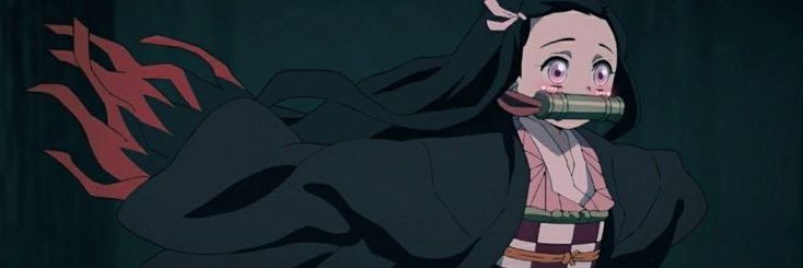StephyDuarte's profile banner image