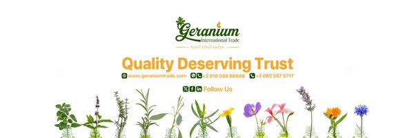 GeraniumIT Profile Banner
