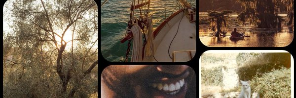 wintercce Profile Banner