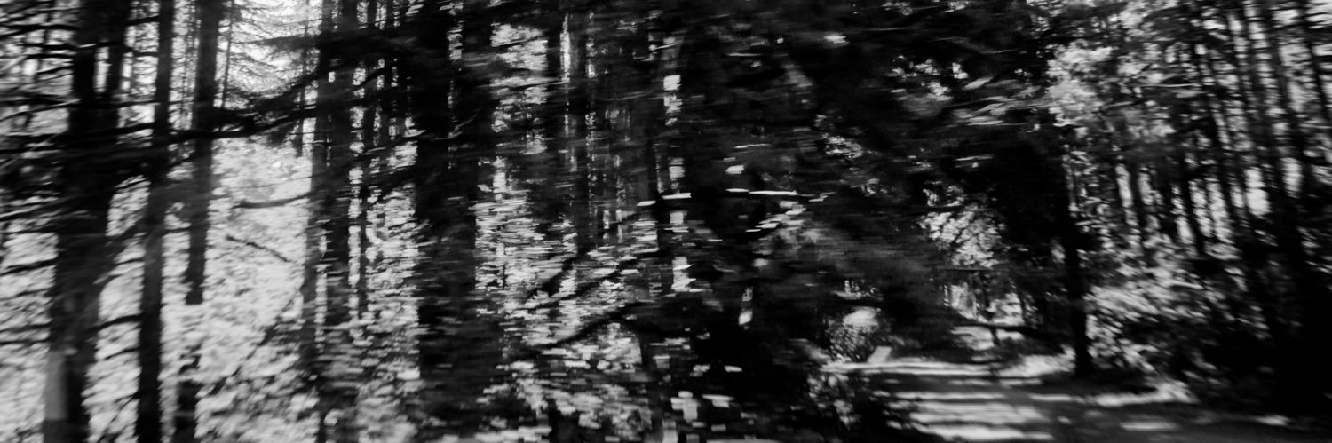 tswiftrep's profile banner image