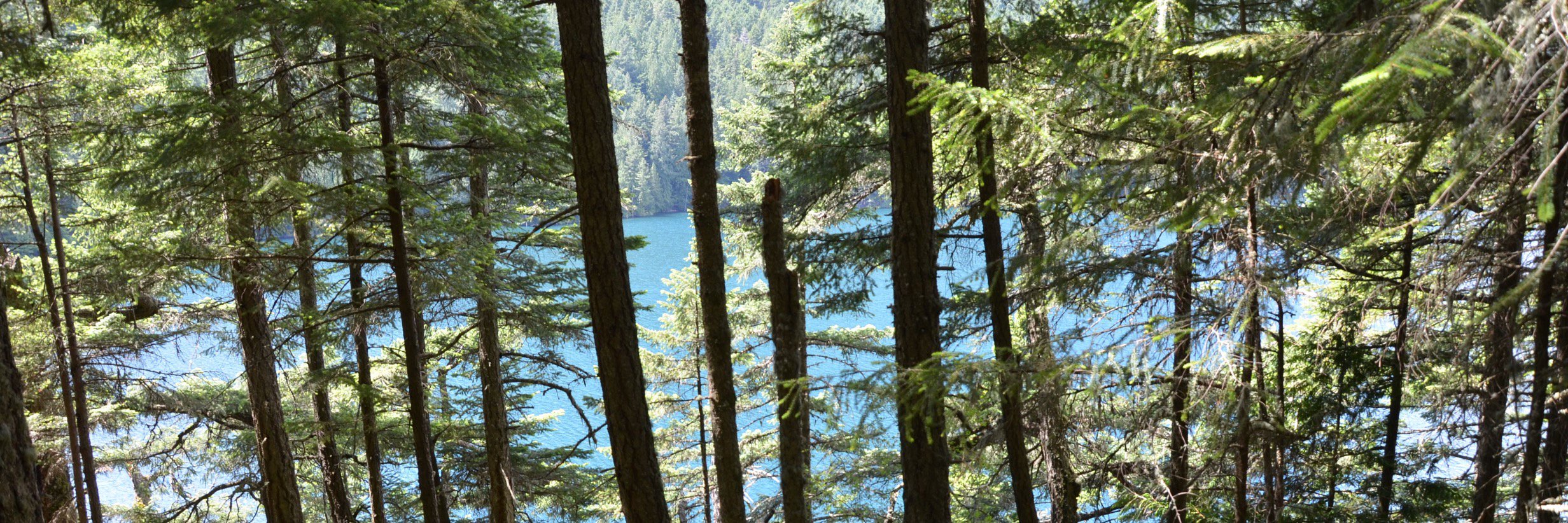 Robin Stewart banner