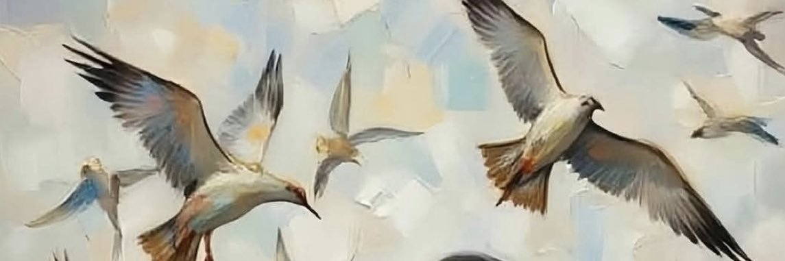 ص م ت .. banner