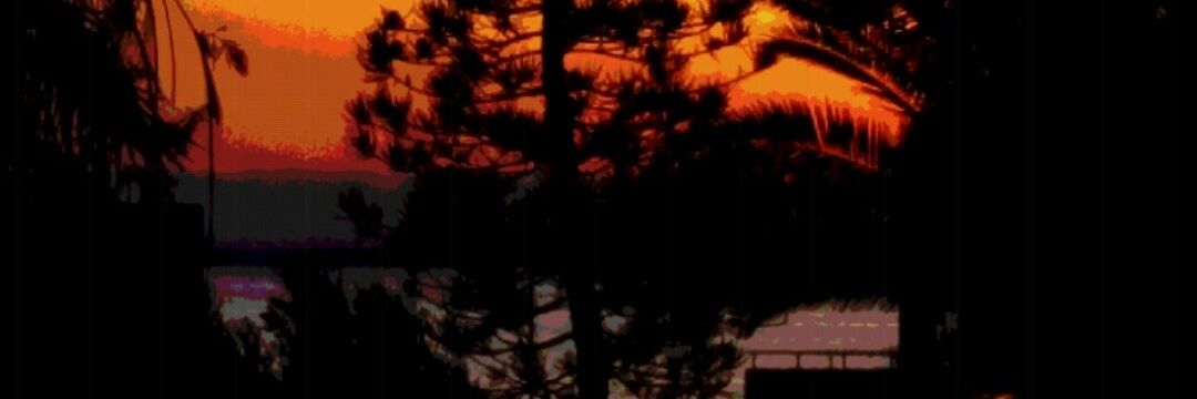 crusky85's profile banner image
