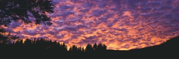 3KarenBuffa's profile banner image