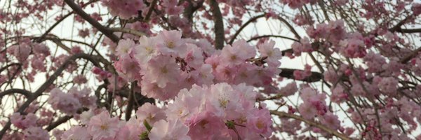 alexosule Profile Banner