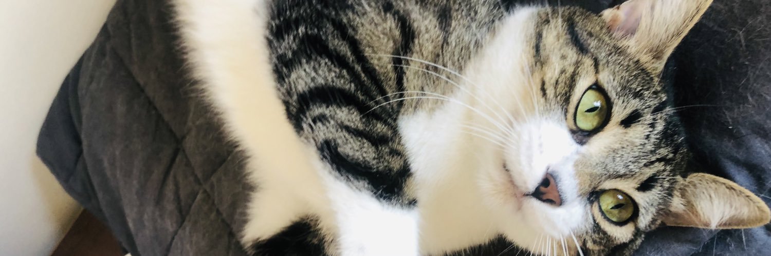 DianiiQ's profile banner image