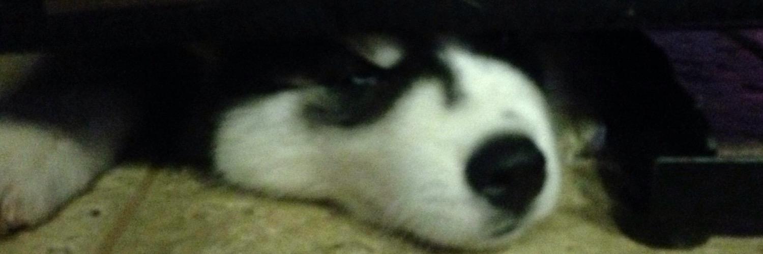mjhall23's profile banner image