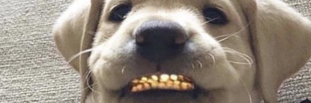 colgworld's profile banner image