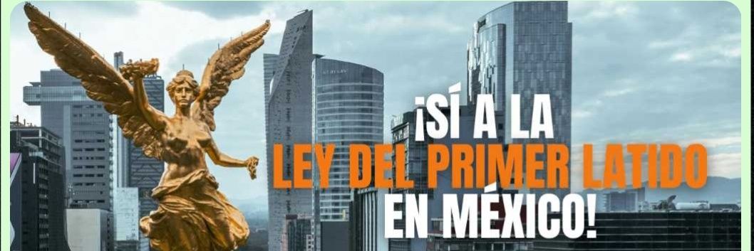 Fundación de México Valiente banner