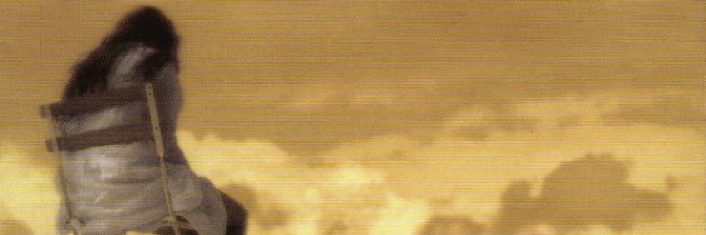Andrés Santa María banner