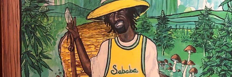 sababa banner