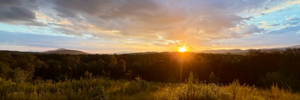 Bobolink8829 Profile Banner