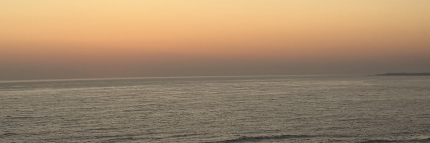 eleny___'s profile banner image