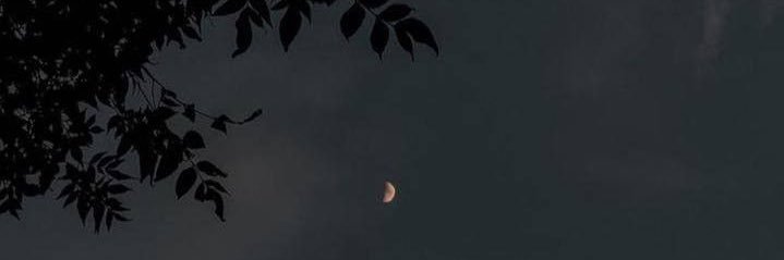 cananzlt's profile banner image