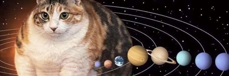 eucharioches banner