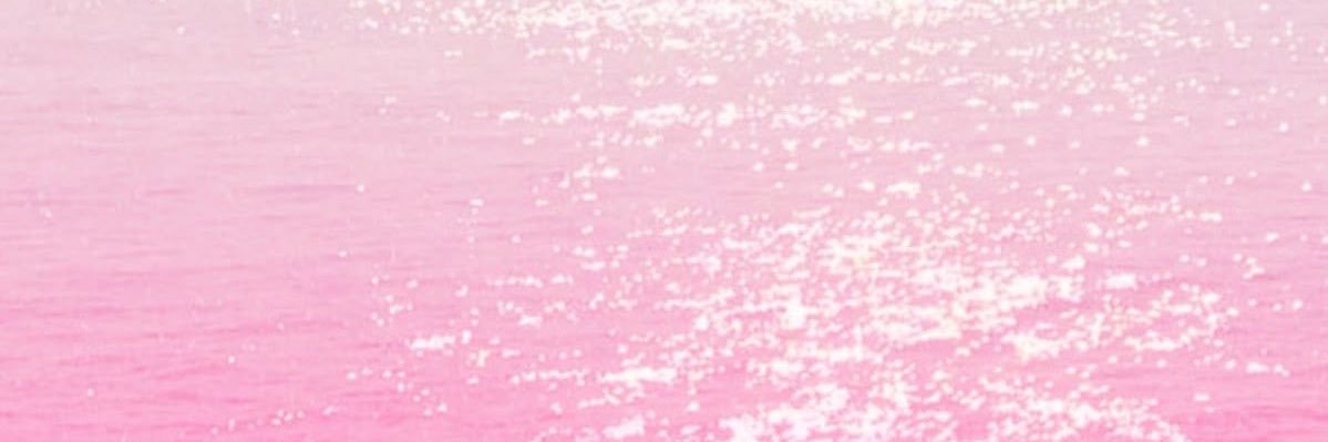 🐚's banner