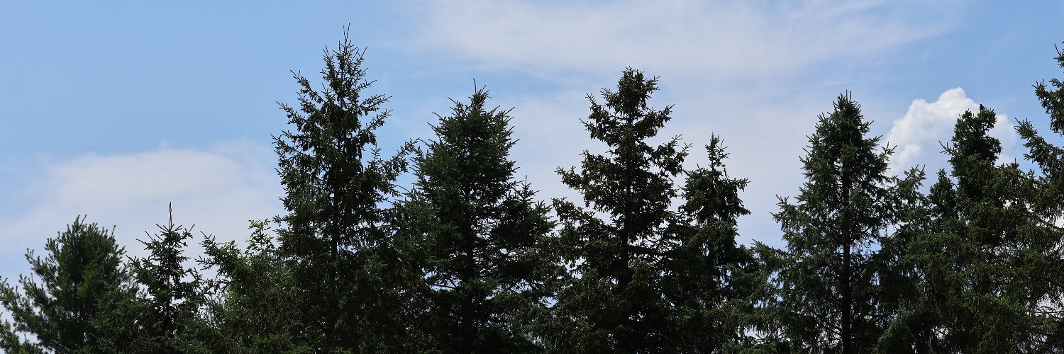 KimberlyAlbert's profile banner image