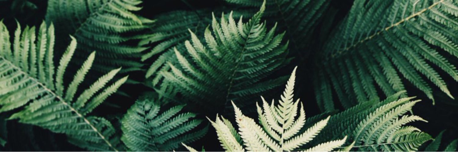 LauraSnz_'s profile banner image