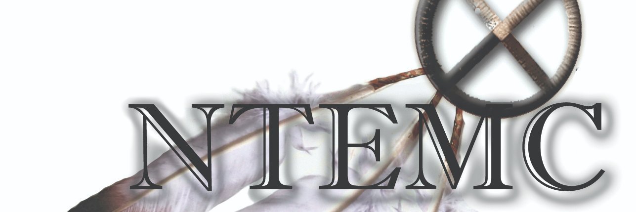 NWTEMC's profile banner image