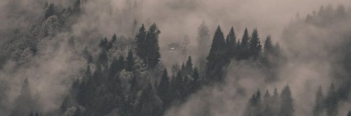 Thaless_6's profile banner image