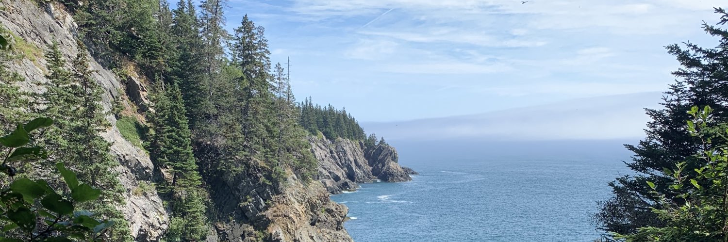 torimullin_'s profile banner image