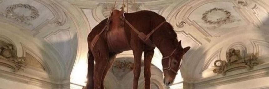 e-102: γakub banner