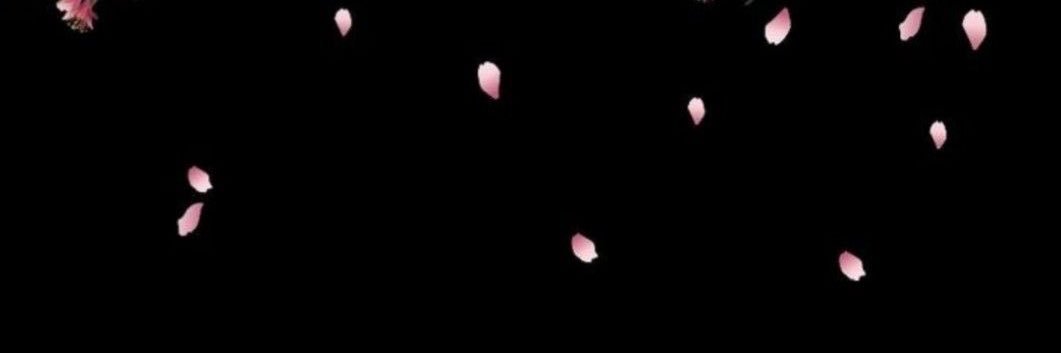 DragonxxPrince's profile banner image