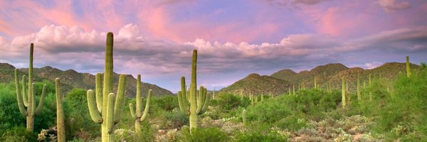 Amy_R_Filsoof Profile Banner