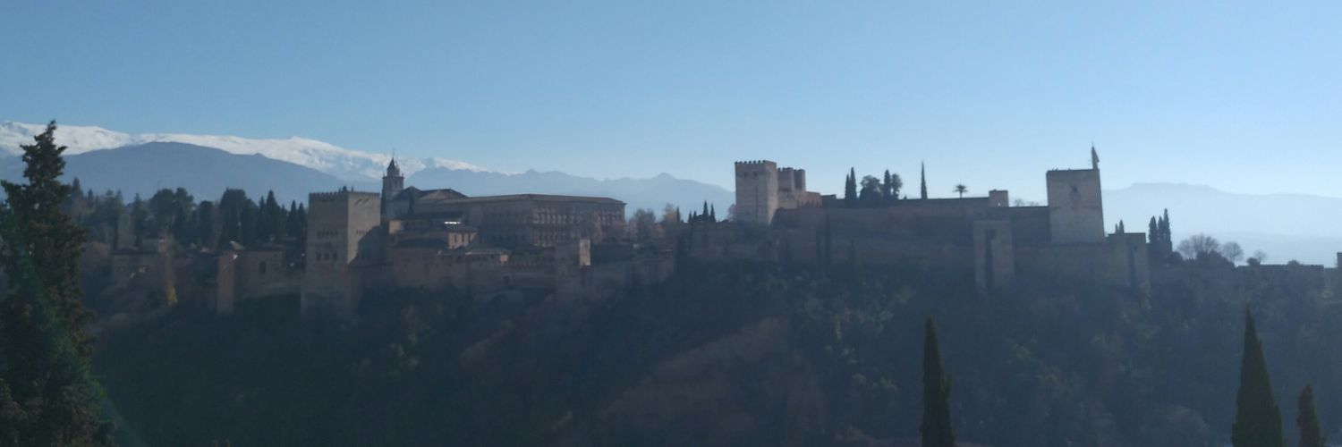 MARICARMENVELEZ's profile banner image