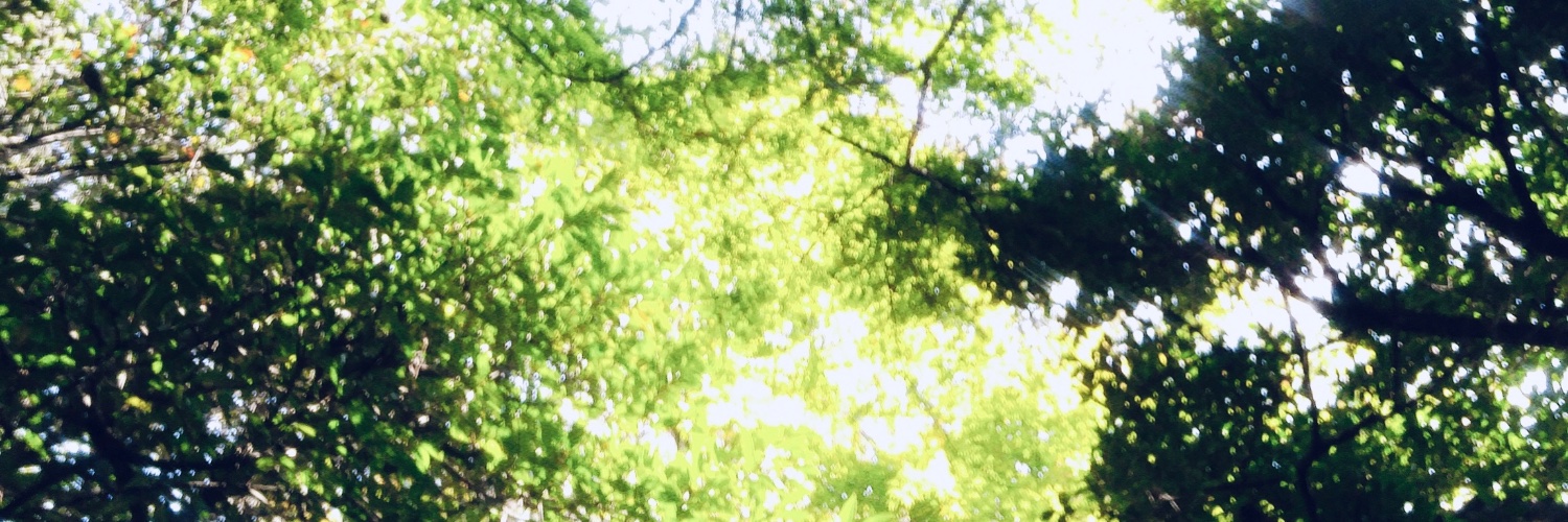 りよしま banner