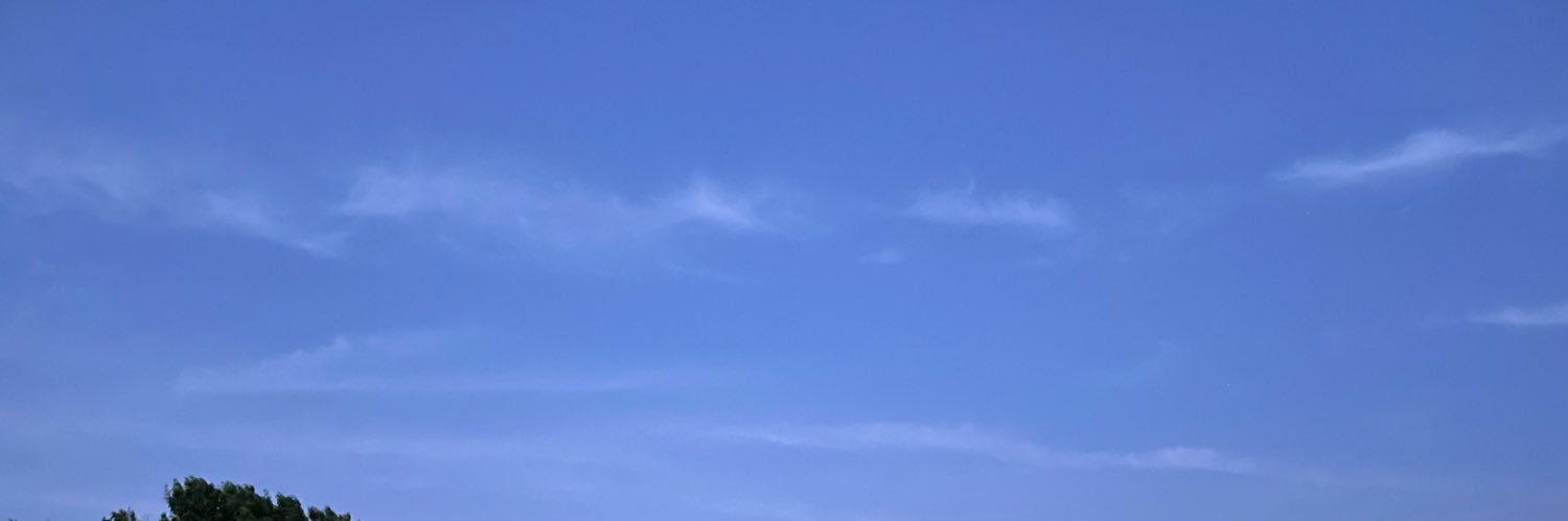Seta banner