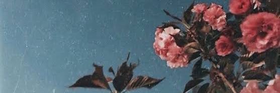 ‏A⋆.˚🦋༘⋆ banner