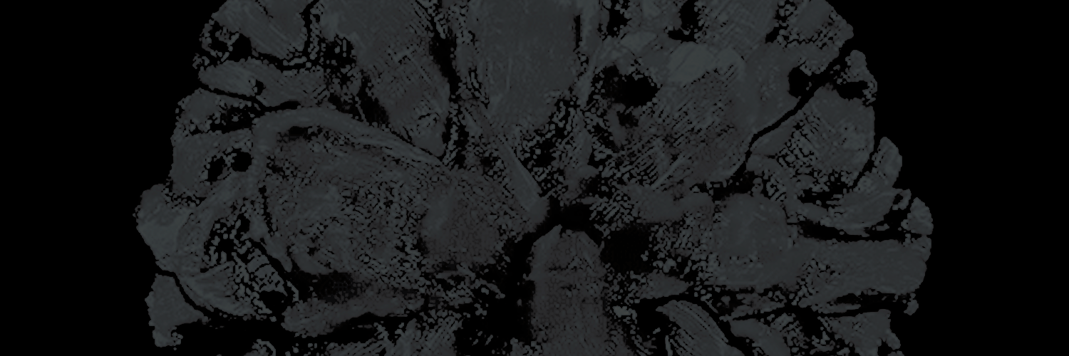 eesurios's profile banner image