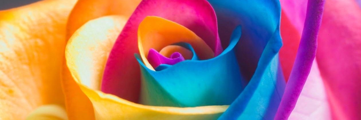 SueJank's profile banner image