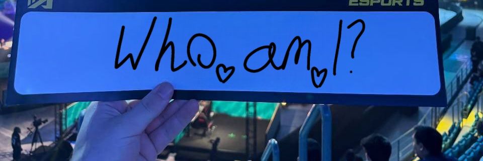 Who_am_i_cs2's profile banner image