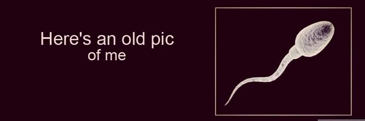 Liam Jr banner