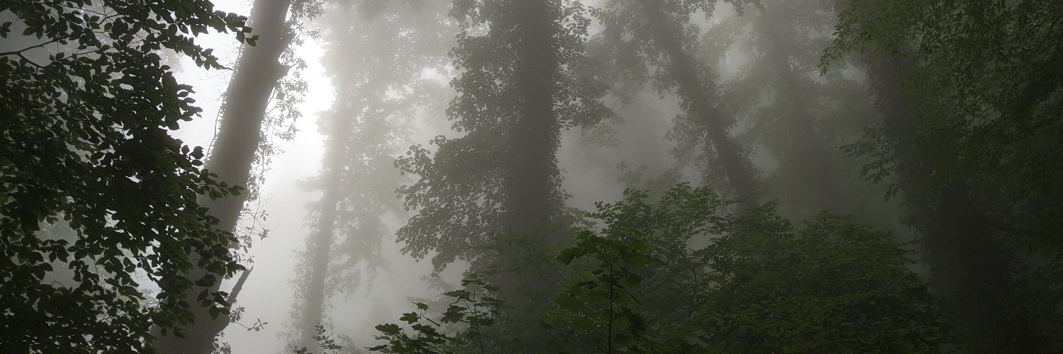 Phantasm Project (@PhantasmProject) / Posts / X