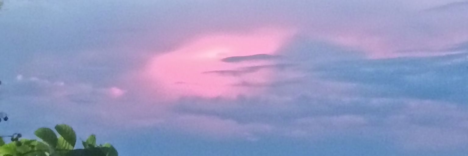 Based Mami School banner