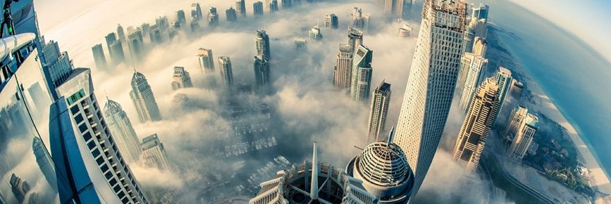 Shelby McNamee banner