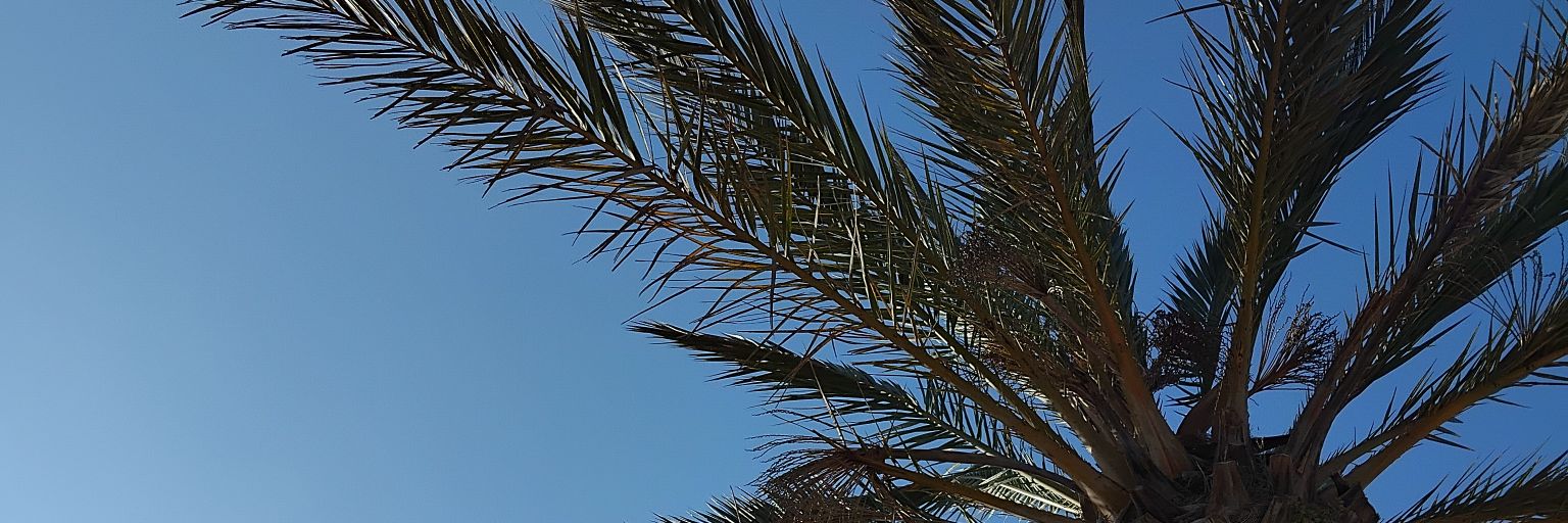 alements21's profile banner image
