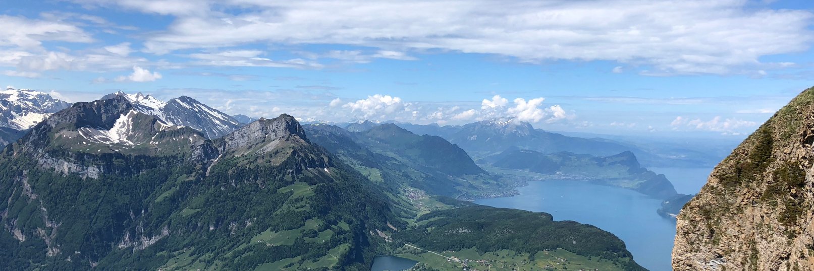 Michele Meyer, PhD banner