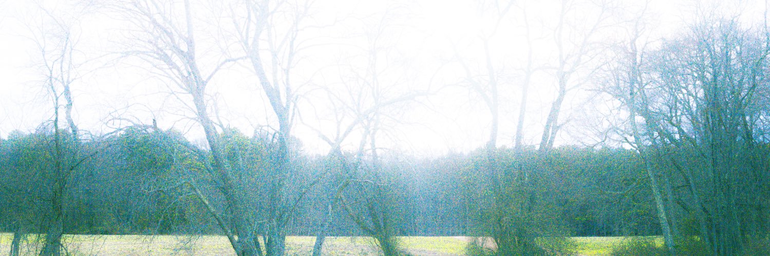 MissedCallxo's profile banner image